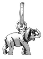 Charm Giovanni Raspini Charms in Argento 10934 - 10934